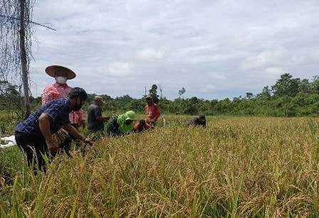 Ridwai: Akses Jalan dan Irigasi Jadi Tantangan Utama Pertanian Kutai Barat