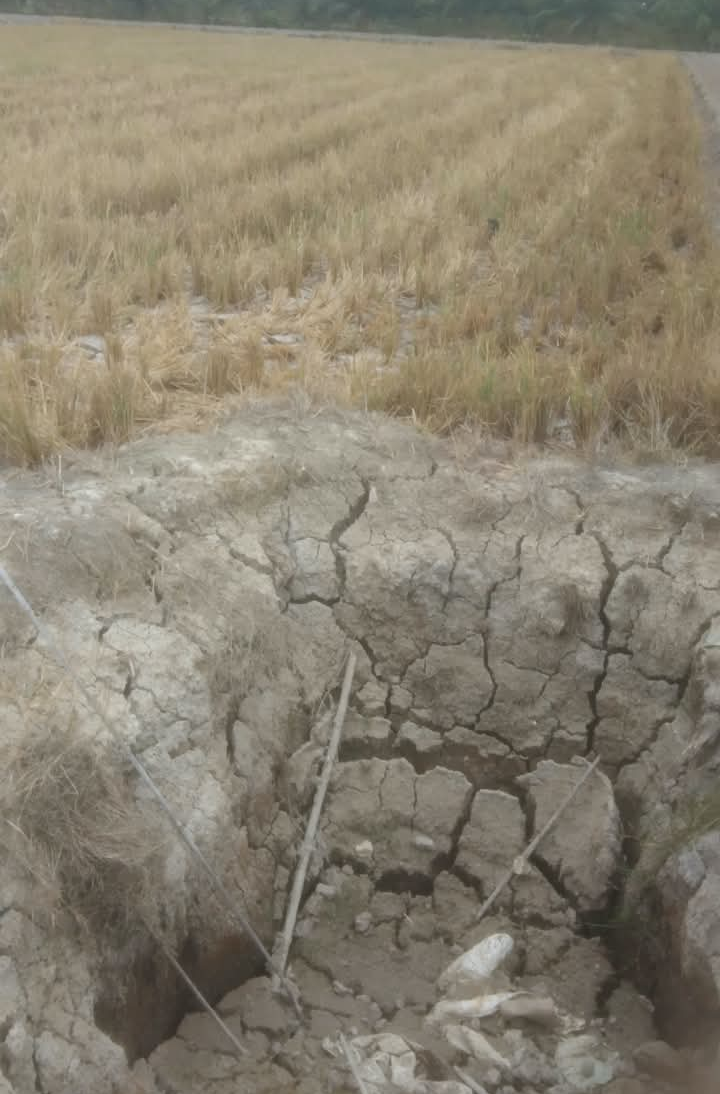 DPRD PPU Soroti Masalah Air yang Tak Kunjung Tuntas, Petani Masih Bergantung Hujan