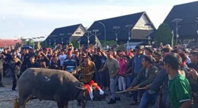 Beliant Bekelew dan Geratuq Jadi Penutup Sakral Festival Dahau 2025 Kutai Barat